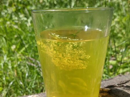 Gierschblütenlimo