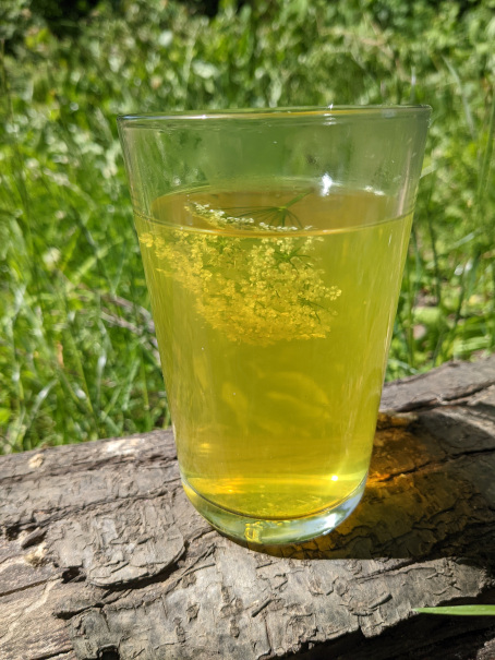 Gierschblütenlimo